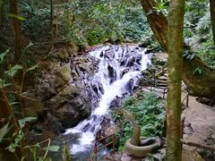 -莫里热带雨林景区