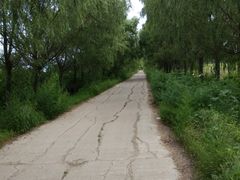 -昂昂溪遗址博物馆