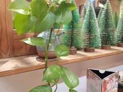 -大洋家·精品潮汕菜·生腌砂锅粥(天河东路店)