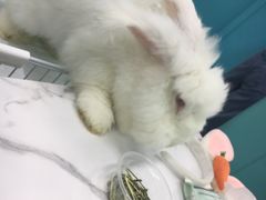 -其美潮州鱼旦粉世家(花城汇南区分店)