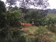 -清迈丛林飞跃 JungleFlight