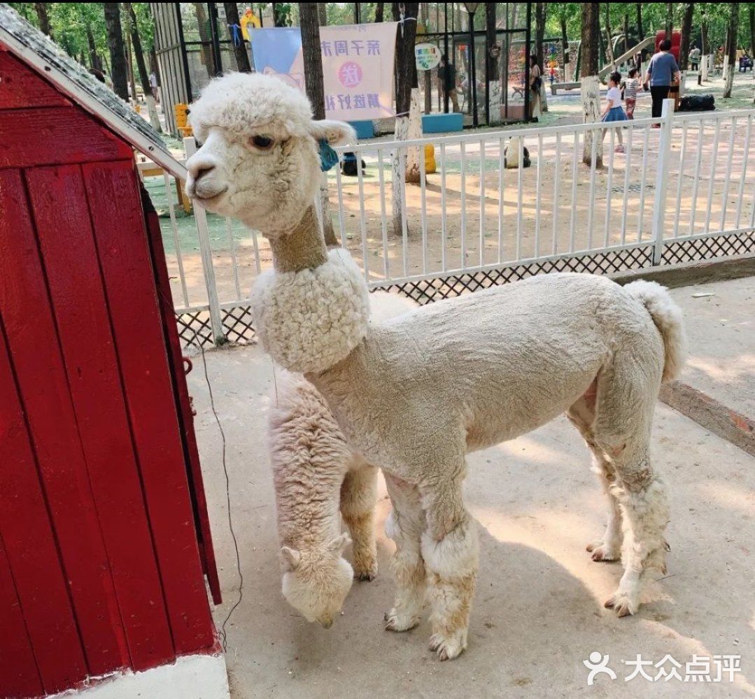 北京六一遛娃好去处，亲近大自然玩沙喂鸟关键还有团购活动
