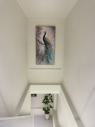 -皙塑美肤·spa