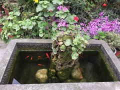 -海窝子古镇