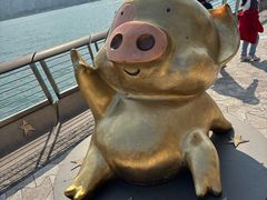 -星光大道