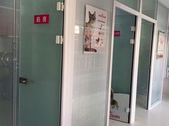 -瑞派福兴宠物医院犬猫全科·骨科·中西医结合(河东店)