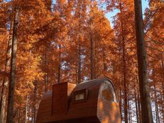 -黄海国家森林公园