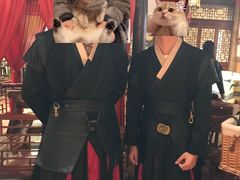 -MAX伯爵沉浸式超级游戏体验馆·实景桌游·剧本杀(小时代店)