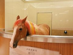 -海澜飞马水城