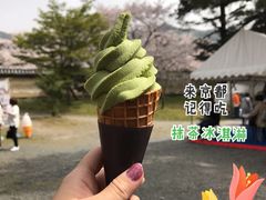 -醍醐寺