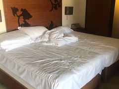 -三亚湾红树林度假世界(木棉酒店)