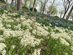 -天津东丽湖风景区