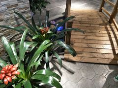 -蕃茄述·好汤自然来(江汉路店)