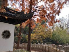 -汇龙潭