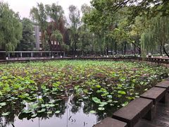 -四川大学(望江校区)