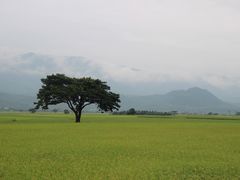 -台北101