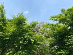 -南京市无想山景区