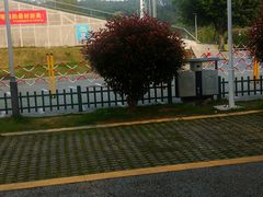 -飞凤山奥体公园