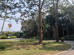 -中国科学院西双版纳热带植物园