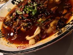 -豆花酒楼·三十八年匠心(秦皇东大街店)