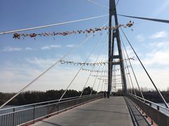 -沈阳鸟岛