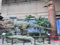 -国家自然博物馆