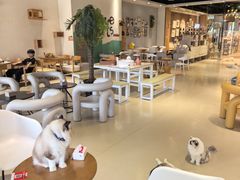 -藏猫猫咖啡主题馆(中央大道店)