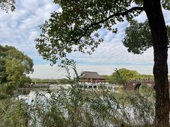 -沙家浜风景区