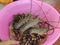 -拉威海鲜市场
