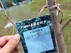 -嘉北郊野公园