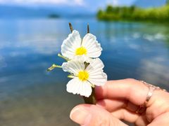 -丽江泸沽湖景区