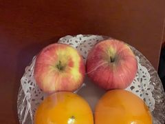 -沈阳玫瑰大酒店