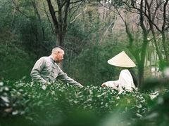 -法云安缦酒店