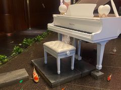 -鱼翅楼·津派砂锅鱼翅(水上公园店)