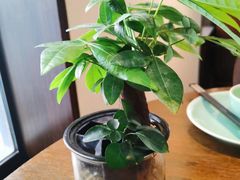 -粗茶淡饭·隐庐私厨(东亭店)