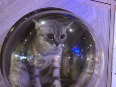 -zoonana室内动物园(东方福来德店)