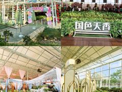-盈香心动乐园