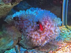 -左海海底世界