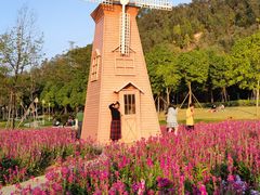 -顺峰山公园