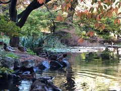 -北海道厅旧本厅舍(旧本庁舎)