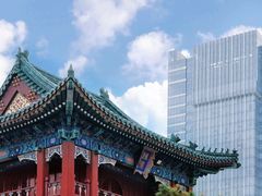 -天津大悲禅院