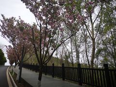 -仙海旅游度假区