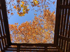 -春晖园度假酒店温泉