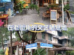 -泡桐树街