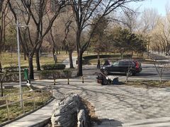 -南长河公园