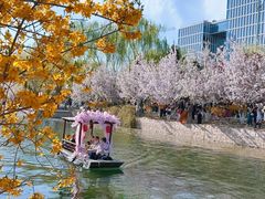 -元大都城垣遗址公园