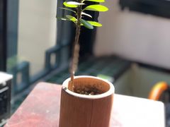 -知亘茶食