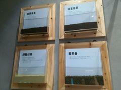 -喜茶(深圳福田星河COCO Park店)