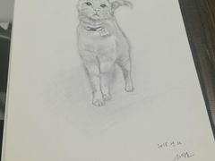 -有猫主题·治愈系猫咖(曾厝垵店)