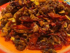 -柴窝堡22号辣子鸡·传承新疆菜